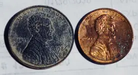 penny.webp penny.webp
