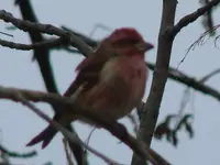 DSC04999.webp