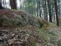 005.webp