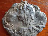 DSCN2654.webp