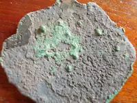 DSCN2655.webp