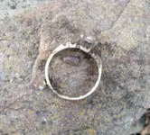 Ring Dirty.webp
