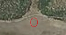 pic crop.webp