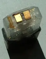 DSCF0012.webp