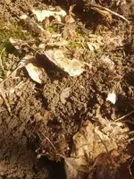 thumbnail (4).webp