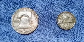 Silver back.webp
