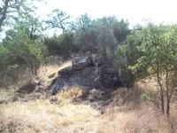 101_4087.webp