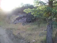 101_3980.webp