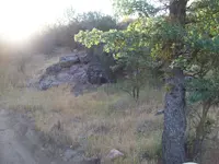 101_3981.webp