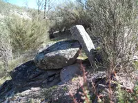 100_4518.webp