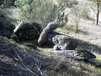 100_4519.webp