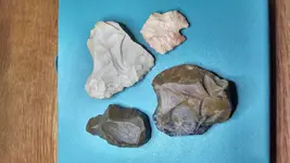 hafted scrapers.webp