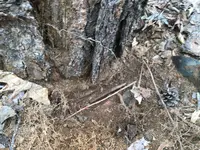Hand saw distance.webp