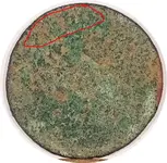 1a-crop.webp