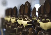 bunny.webp