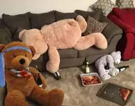 bearQTpicnic.webp