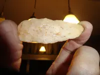 DSC02003.webp