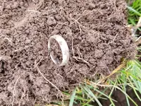 gold ring1.webp