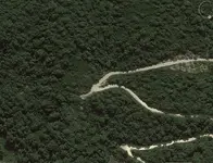 Screenshot_6.webp