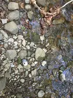 ImageUploadedByTreasureNet.com1588646292.081739.webp