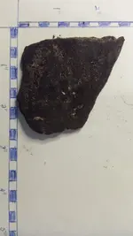 GroupOf4PsuedoPotteryD2WithScale.webp