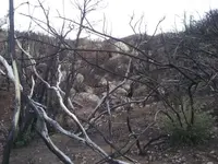 2020030495174556.webp
