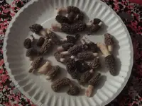 tmpphpPH9NFZ.webp