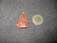 TNET photos 189.webp