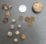 finds cleaned.webp