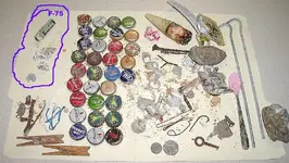 finds2.webp