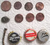 2arbany park first finds.webp
