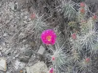 52908_082 A.webp