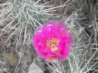52908_083 A.webp