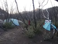 2020030495174714.webp