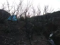 2020030495174914.webp