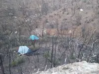 2020030495175542.webp