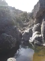 2020030595101501.webp