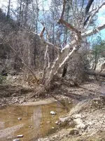 2020030695101644.webp
