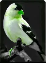 943624c00b54246ec81af9a8a3abf485.webp