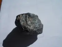 DSCN2578.webp