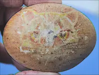 Stone 2.webp