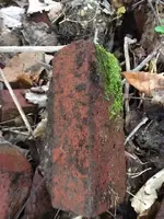 brick1.webp