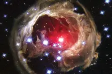 Boom Star pic.webp