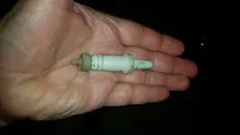 1916 Champion Spark Plug- 104 years old - West Park 03-25-20 Fisher F22.webp