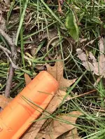 RFdetYauAsIs4-26-20.webp