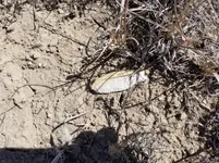 20190227_113316.webp