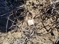20190131_103925.webp