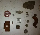 Camden and Bluffton Finds 04-04-20 3.webp