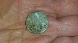 Camden and Bluffton Finds 04-04-20- 2.5c Token.webp