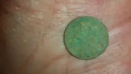 Camden and Bluffton Finds 04-04-20 - 1933 Wheatie.webp